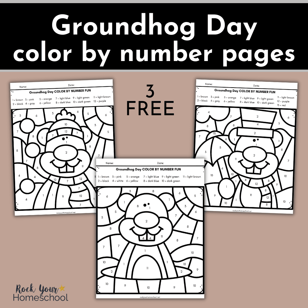 groundhog day colornumber worksheets - rock your homeschool